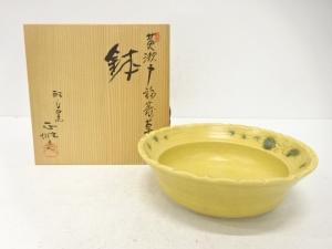作家物　黄瀬戸　福寿草　鉢